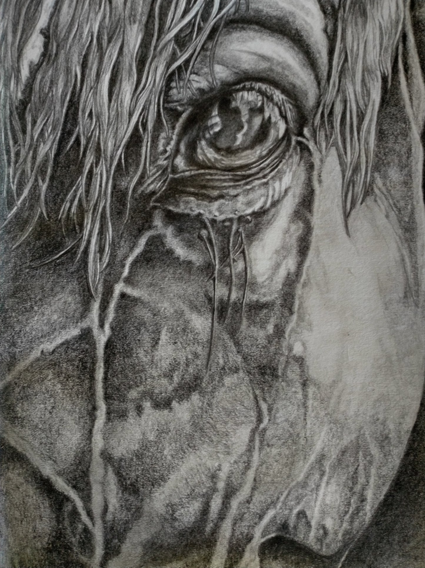 'Most Faithful Mirror' Original Illustration